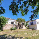 Villa med stor tomt, fruktträd och pool