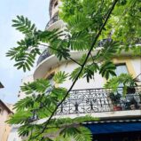 Lägenhet nära katedralen i Béziers