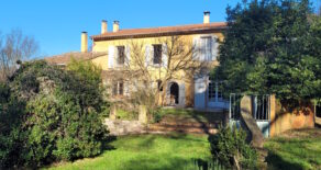 Vingård med 13 ha mark, vinodlingar och flera byggnader (1000 kvm)