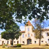 Slott från 1700-talet, mitt bland vinfälten