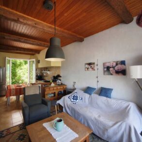 Hus med pool, i Roquebrun