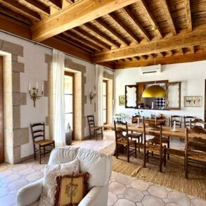 Magnifikt hus i centrala Pézenas, med trädgård och pool, en oas!