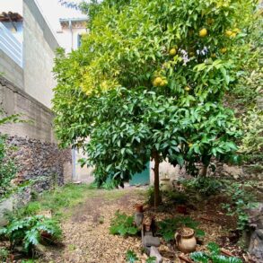 Vinmakarhus med trädgård och uthus, i Agde