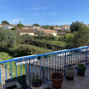 Vinmakarhus med trädgård, separat gästhus och garage