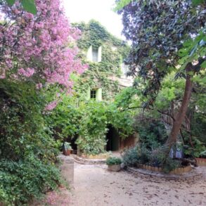 Stenhus med trädgård, i Pézenas